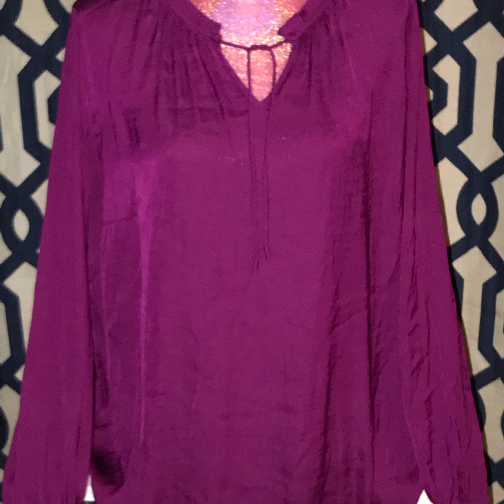 Long Sleeved 1x Blouse/Shirt/Top